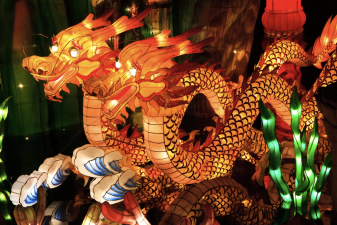 An image of dragons on display in Shanghai.